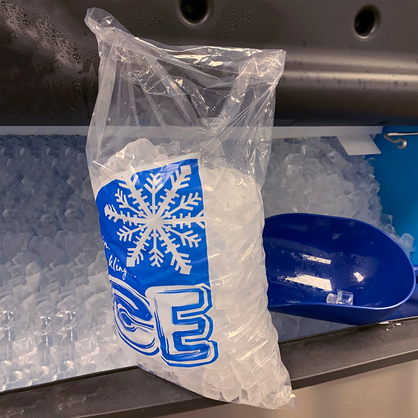 Sparkling Ice Bag 8# - 500 Bags/Case